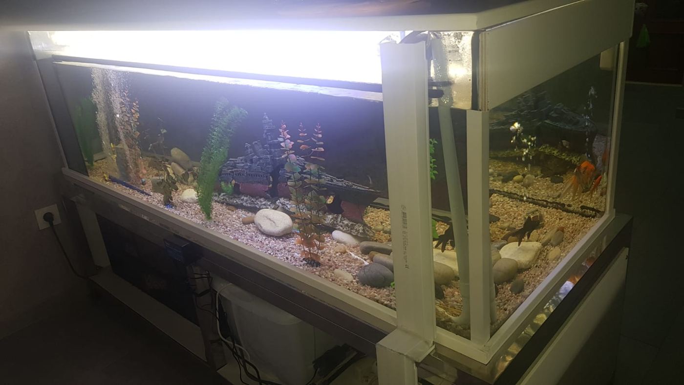 Acuario de esquina