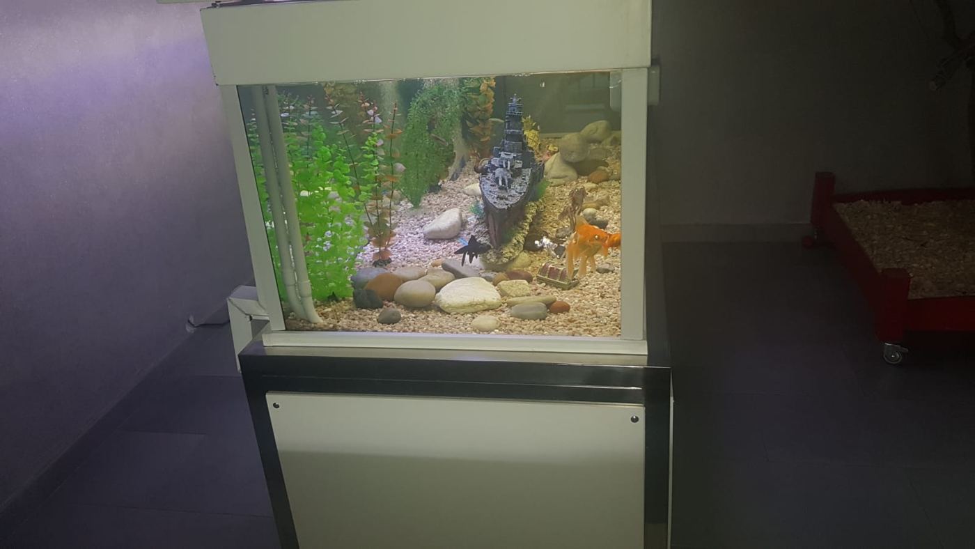 Acuario sobre mueble